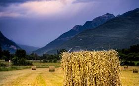 Biescas Doctor Fleming reg19-226